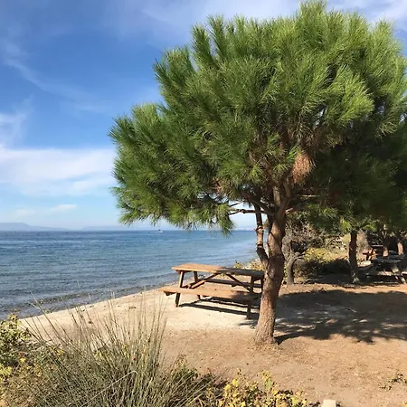 Artemis - Kusadasi Apartament Soğucak