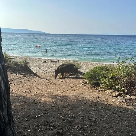 Apartament Artemis - Kusadasi *