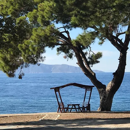 Artemis - Kusadasi 아파트 *